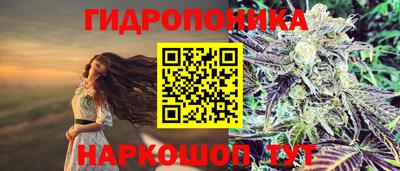 ешки Можайск