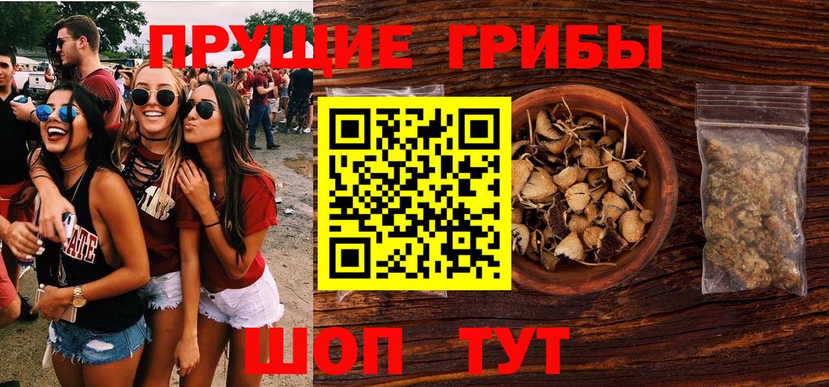 Псилоцибиновые грибы MAGIC MUSHROOMS  Вход с VPN  закладка  Галлюциногенные грибы Psilocybe  Бугуруслан 